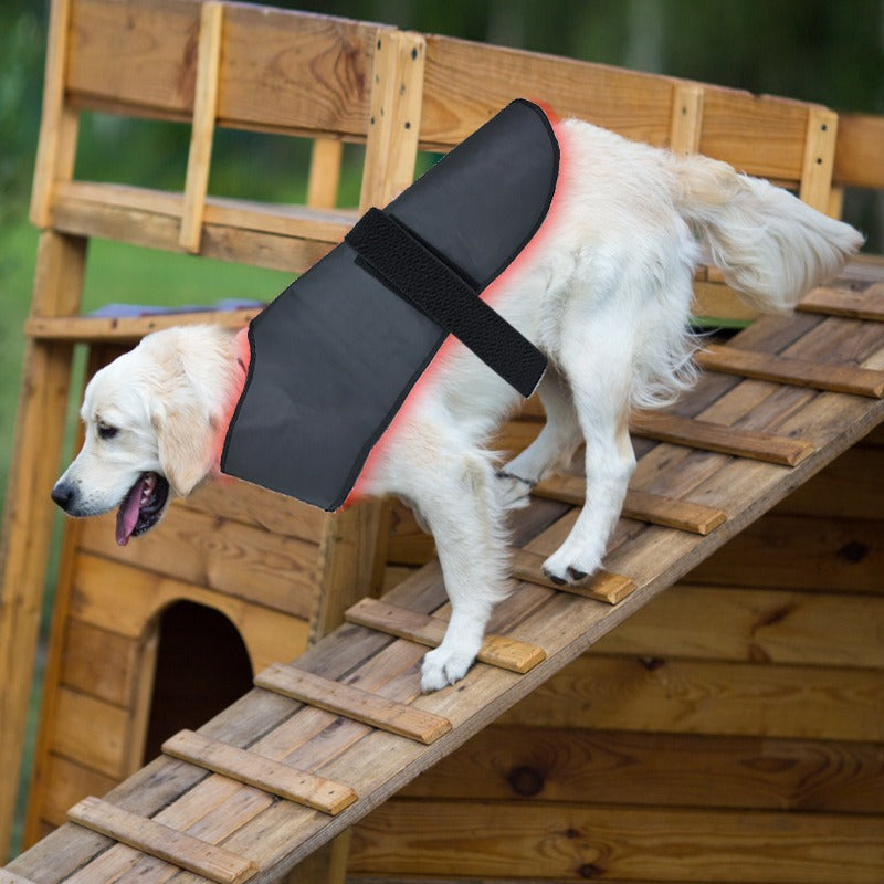 Pet Red Light Infrared Physiotherapy Instrument - L Size