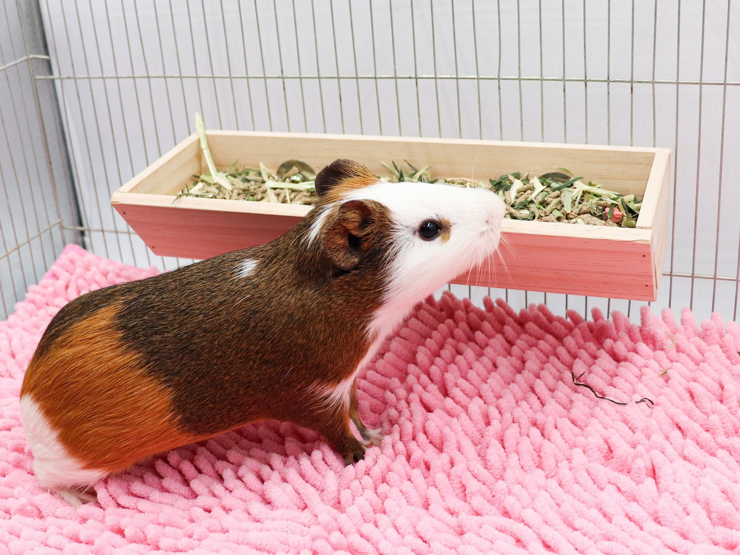 Guinea Pig Feeder Box Wooden Small Animal Food Feeder Hanging Rabbit Food Bowl Small Animal Cage Accessories Suitable for Rabbit Bunny Chinchilla Guinea Pig Hamster 11.8 × 4.3 × 2.4 Inches