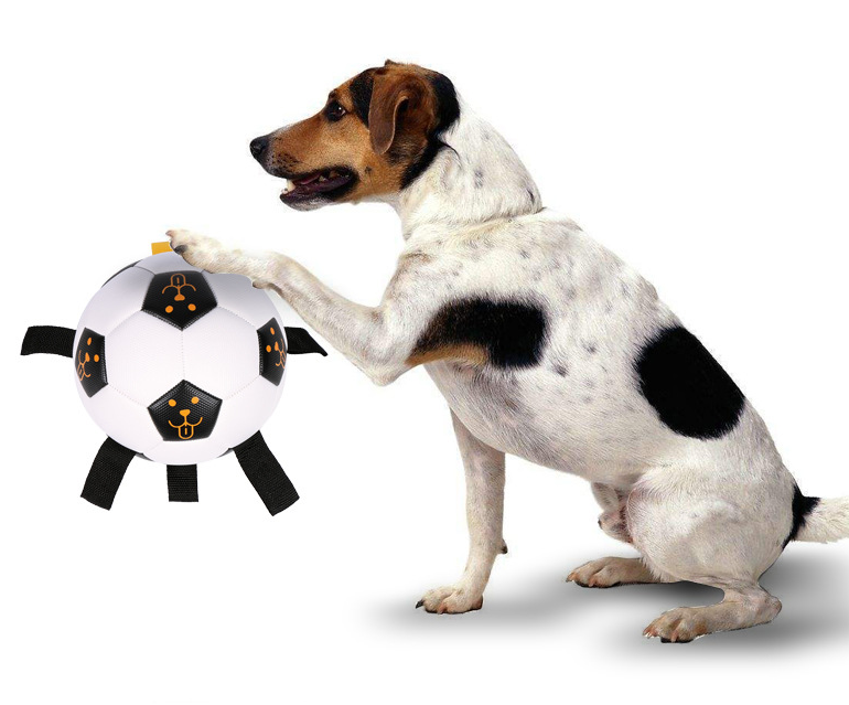 Multifunctional Outdoor Dog Training Ball with Rope