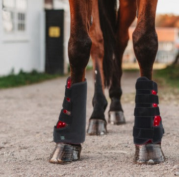 Red Light Infrared Horse Leg Therapy Device
