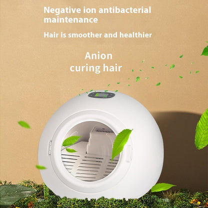 Automatic Pet Drying Box Dryer