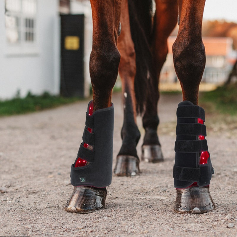 Red Light Infrared Horse Leg Therapy Device