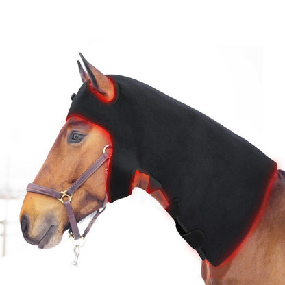 LED Infrared Pet Therapy Device