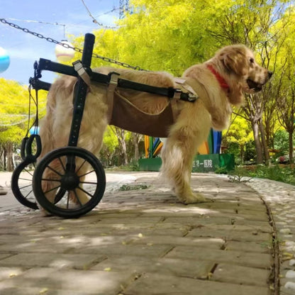 Dog Wheelchair Mobility Aid