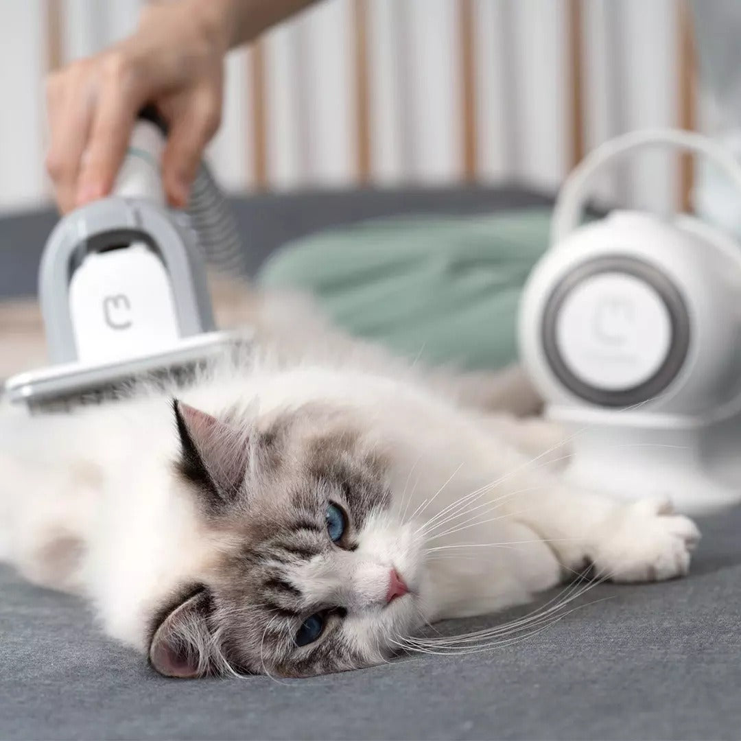 Pet Multifunctional Groomer Vacuum Kit
