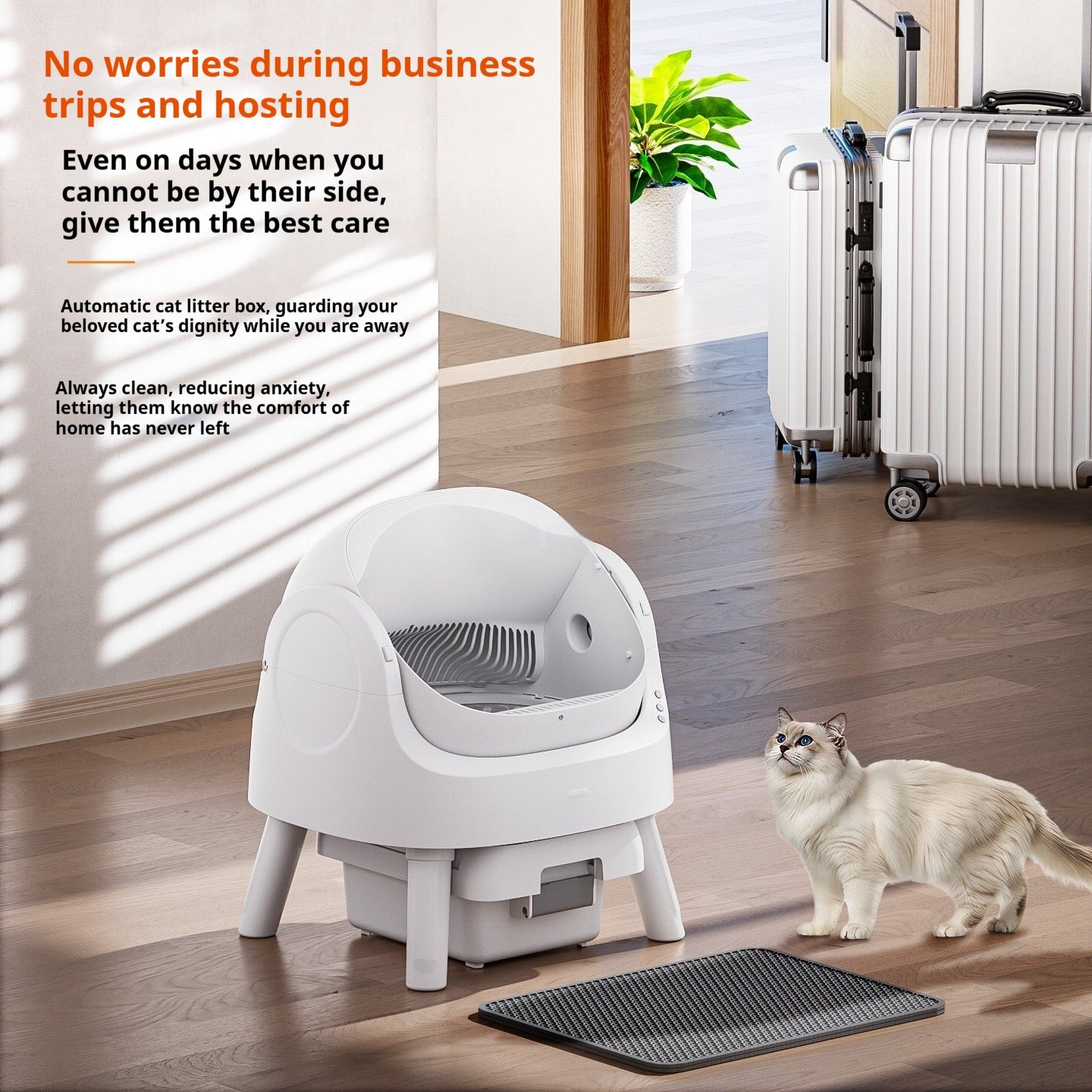Open Automatic Self-Cleaning Litter Box (White)