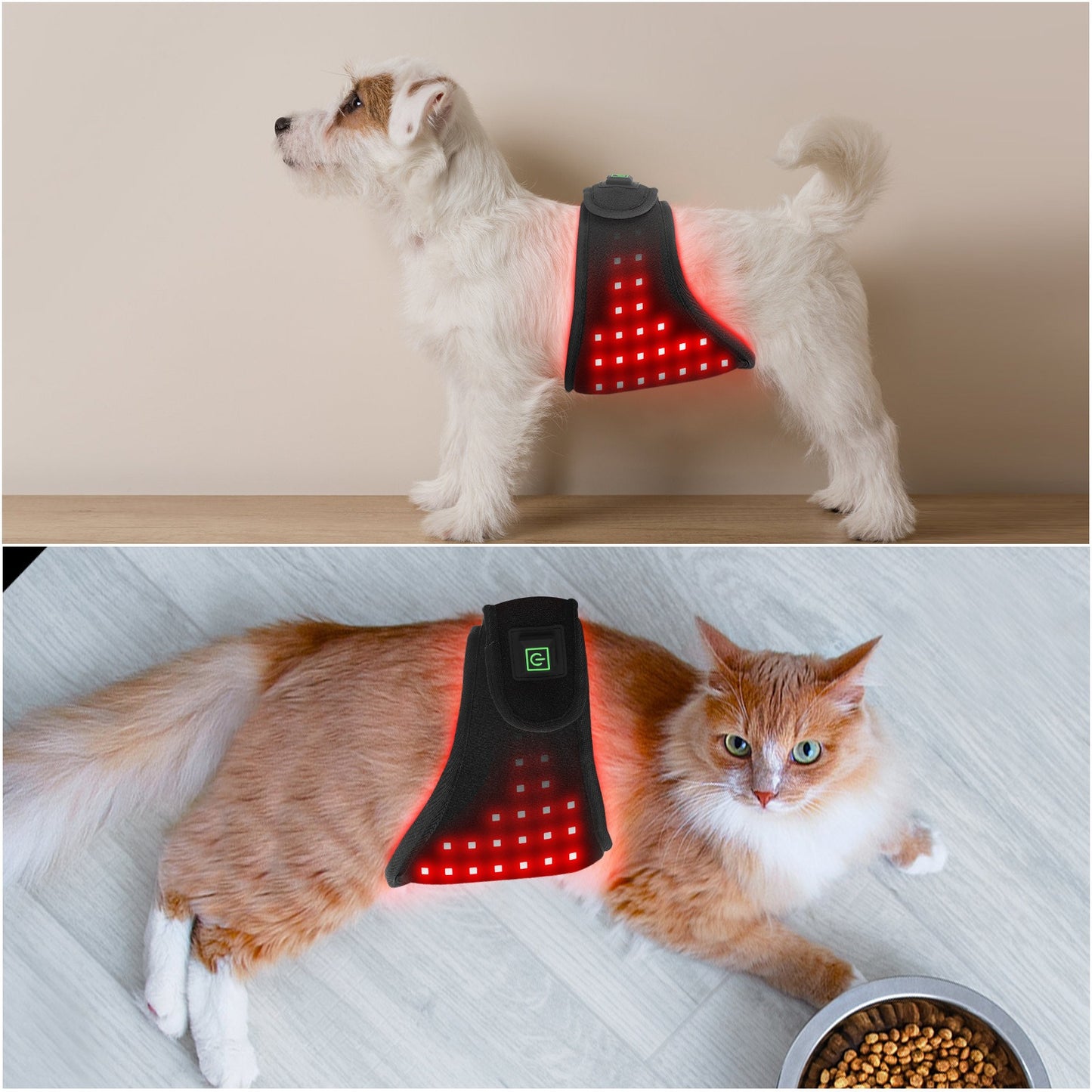 Pet Infrared Red Light Therapy Belt