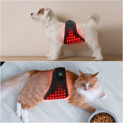 Pet Infrared Red Light Therapy Belt