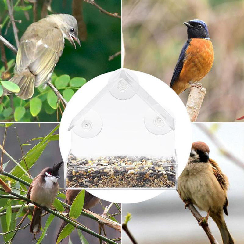 Acrylic Clear Bird Feeder with Suction for Outdoor Use