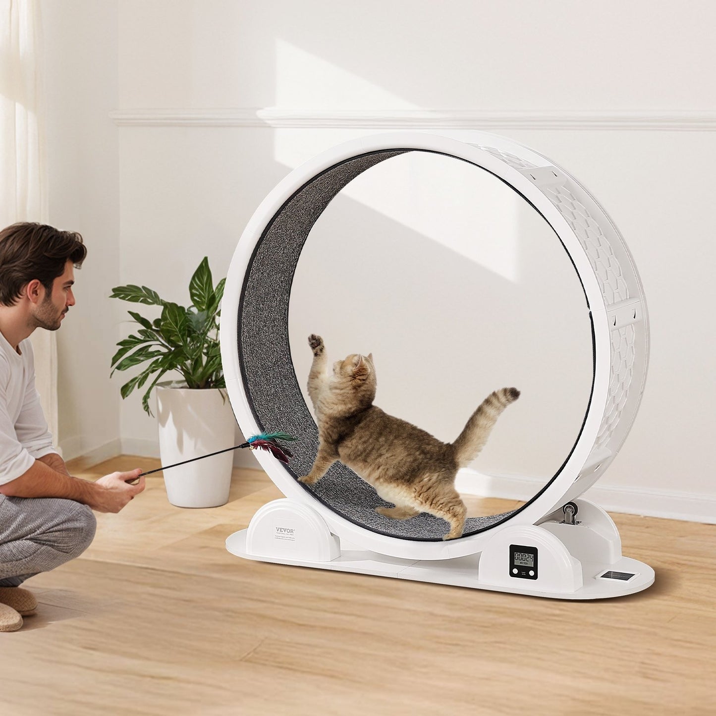 Cat Exercise Wheel with Pedometer