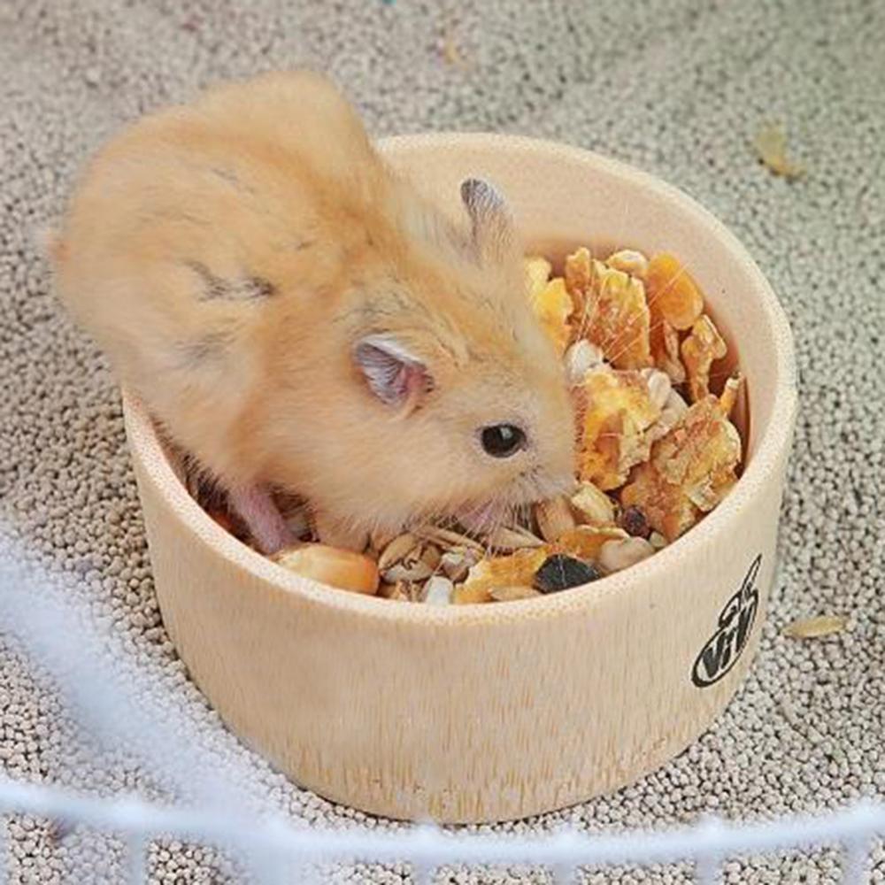Hanging Water Food Bowl for Small Pets and Cage Decor