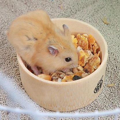 Hanging Water Food Bowl for Small Pets and Cage Decor
