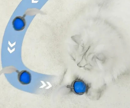 Speedy Tail Pet Toy Ball