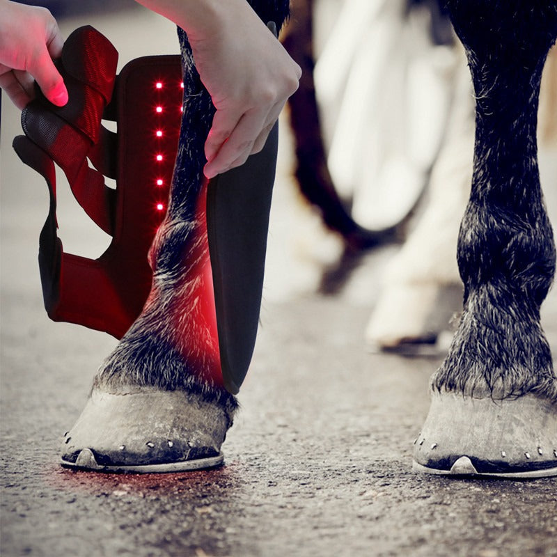 Red Light Infrared Horse Leg Therapy Device