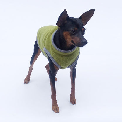 Pet Clothing for Dogs and Cats