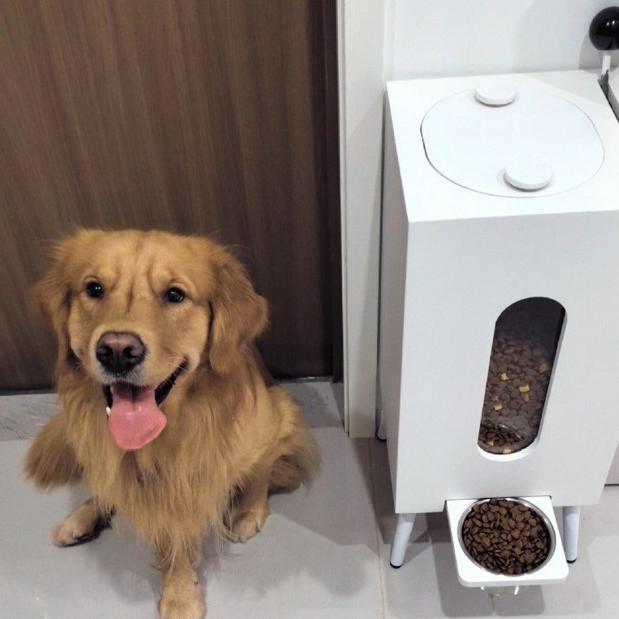 Wooden Large Capacity Pet Feeder