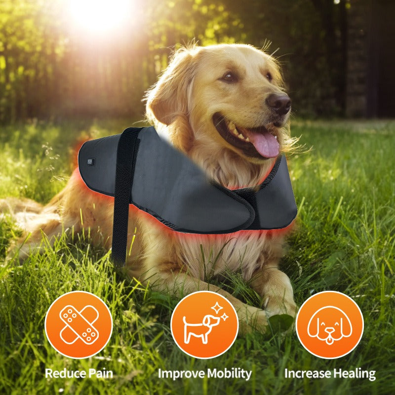 Pet Red Light Infrared Physiotherapy Instrument - L Size