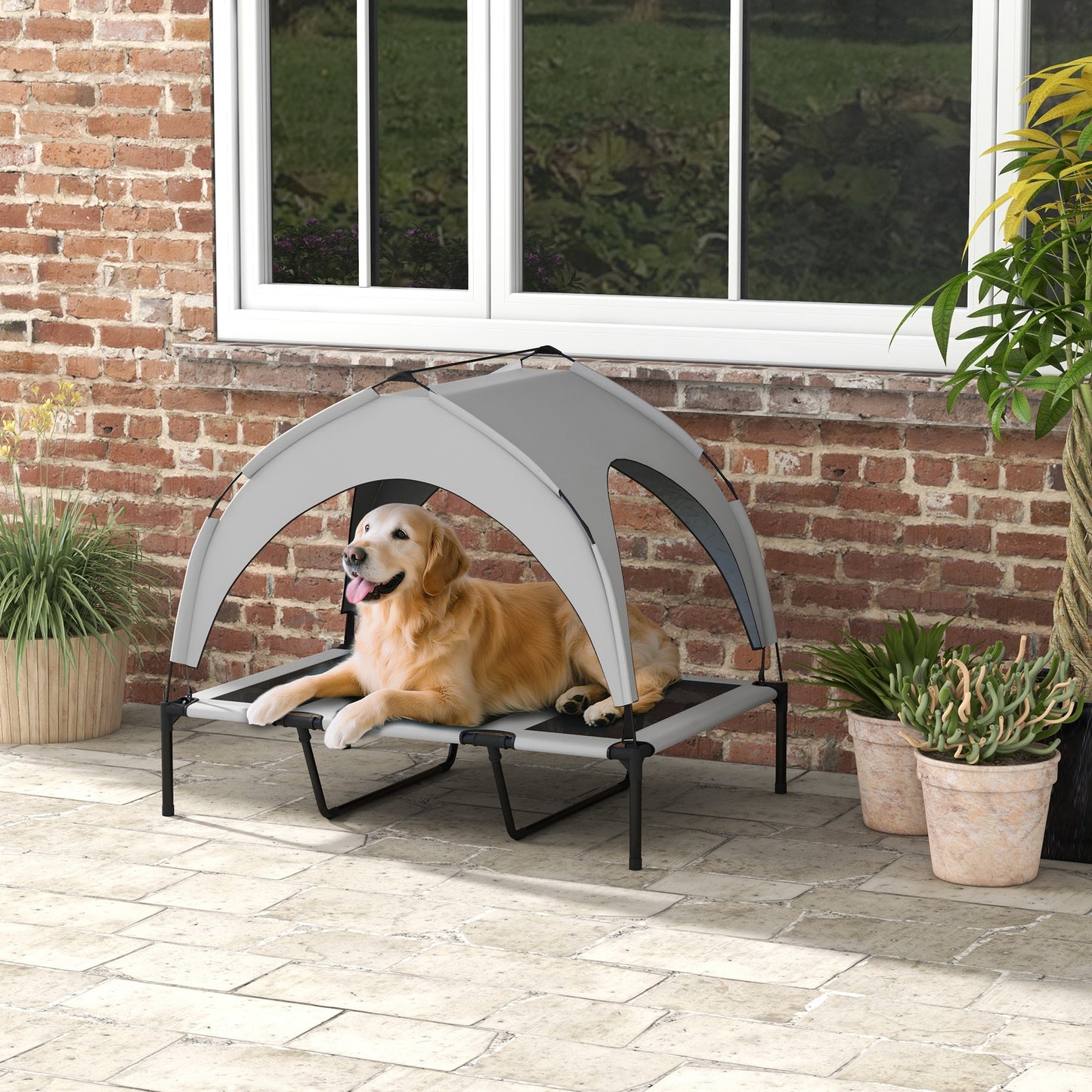 Elevated Outdoor Dog Bed with Canopy