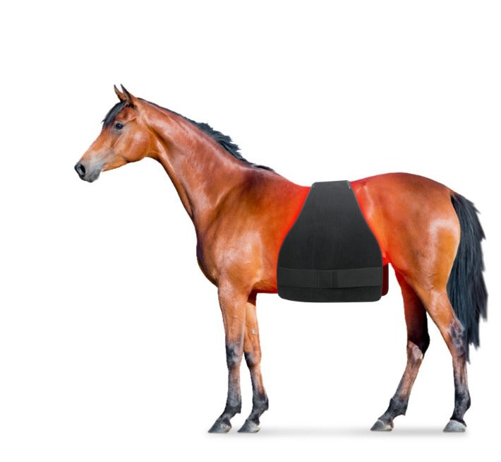 Horse Use Led Therapy Pad