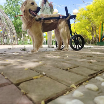 Dog Wheelchair Mobility Aid